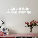 서초장미어린이집 | 고속터미널 꽃시장 + 이케아 구스타프 빈테르핀트 화병