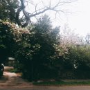 회수동-4 이미지