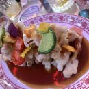 홍콩별밤 이미지