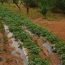 박원순행정사 이미지