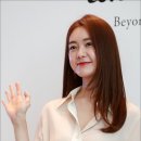 롯데피부미인 스타뉴스