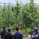 [귀농귀촌 핫플 ⑪] 농민·관광객 잇는 로컬푸드직매장 활성…중소농 정착 도움 이미지