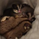 제일종합동물병원 이미지