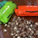 바다와 하루이틀 이미지