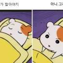오뜰 이미지