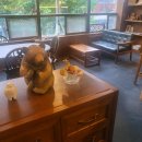 킷사고구마 (Kissa Koguma) 이미지