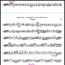 청춘 P.T | [3주차/개인연습] 4악장 복습&amp;예습 - 메리오케스트라 청춘 11기 심포니 비올라 후기