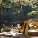 왕피천 숲속 캠핑장 이미지