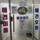 대박펫살롱 | 부산 애견미용 푸들 가위컷 가능한 해운대놀이방 콩이펫살롱