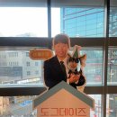 도그왈루 이미지