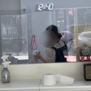 버블리독 | [청주 용암동] 강아지 미용실 추천 : 버블리독