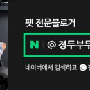 미스터와이 애견풀빌라 이미지