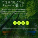 로엘마트