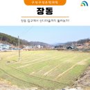 법동센터-시민7 | 장동 입구에서 산디마을까지 둘러보자!