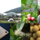 의령농장 이미지