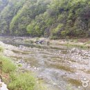 풍혈산캠핑장 이미지