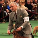 쿠어츠바인에 이미지