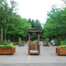 절물자연휴양림 이미지