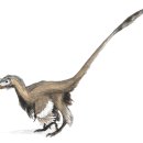 벨로시랩터 이미지