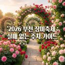 부천북고등학교 | 2026 부천 백만송이 장미원 축제, 주말에도 주차 성공한 리얼 후기