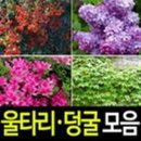 순희농장 이미지