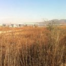 환성발전소 Daum카페