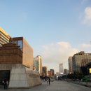 드비취이 이미지