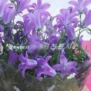 구송동길 이미지