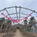 #댕댕댕 이미지