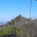 구수 Daum카페