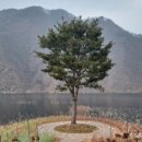 옥천향토전시관 이미지