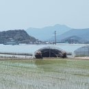 대산농장 이미지