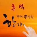 진또베기 이미지