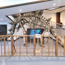 덕소자연사박물관 이미지