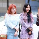 철철뮤직 이미지