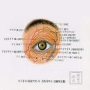 두경 이미지