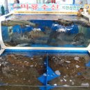 군산새만금 미룡수산