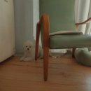 카페본디