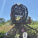 영천한의마을 기념품 | 경북 영천 가볼만한곳 한의마을 공조팝 여행 코스