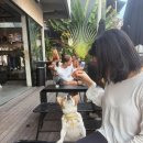 네일바당 | 일상 [ 삼줌마의 발리에서 생긴일 2편 with.발리밸리]