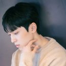 (주)라이징스타