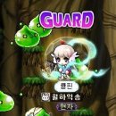비올라펫