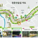 09/01[화] 경춘선숲트레킹[보병궁대장님] 이미지
