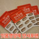 인사포텐, 인사돌이냐 이가탄이냐 고민 해결
