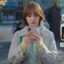 오늘도 댕댕 이미지