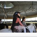 봉좌농장 이미지