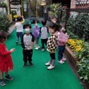 킹스키즈어린이집 이미지