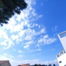 김녕약국 이미지