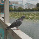 중앙시장(창원중앙시장) 이미지