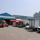 각화도매시장 광주채소 이미지